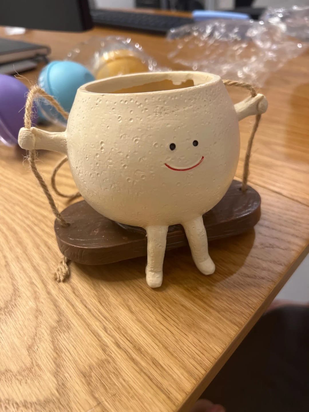 Customer photo review of Cozymere Swing Face Planter