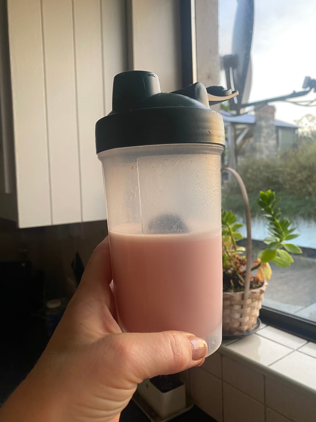 Customer photo review of Whey Protein