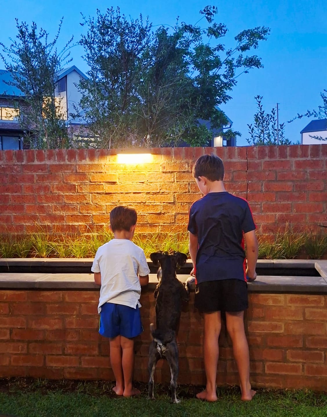 Customer photo review of Solar Wall Light with Motion Sensor