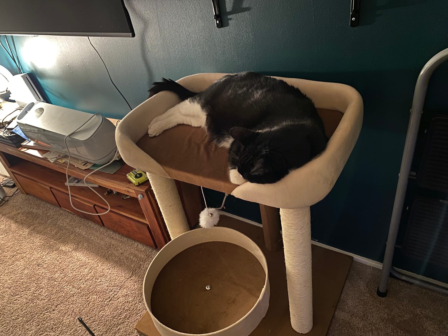 Customer photo review of Japanese-Style Double-Level Cat Tree Cat Sofa - 90901B, Perfect for Window-Side Lounging