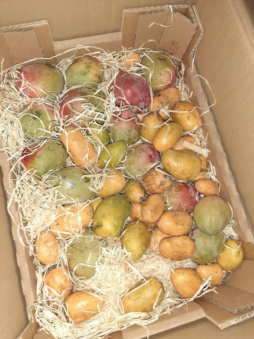Customer photo review of Mini-Mango von Juan 3kg Retterbox %