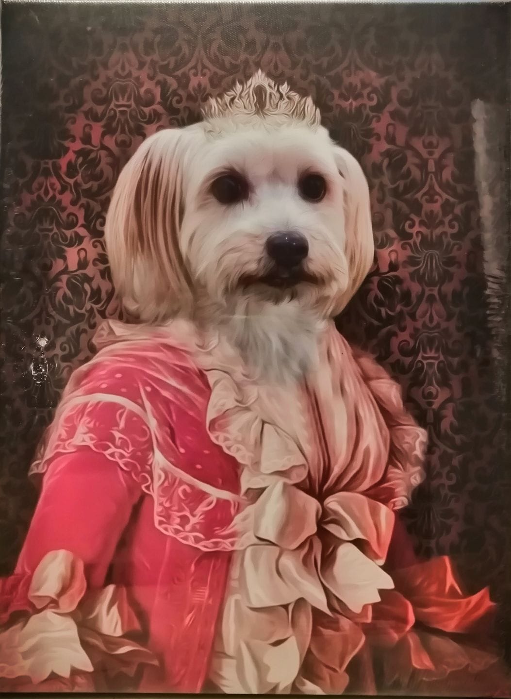 Customer photo review of Portrait Chien Amiral
