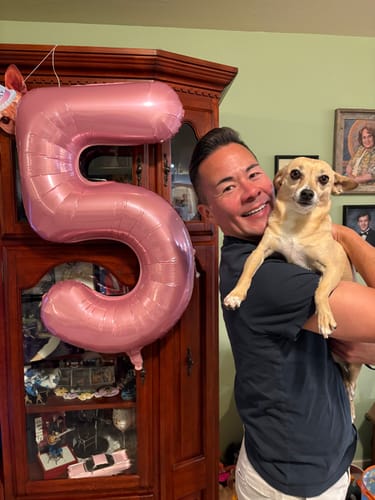 Customer photo review of Basic Personalized Dog Party Pack