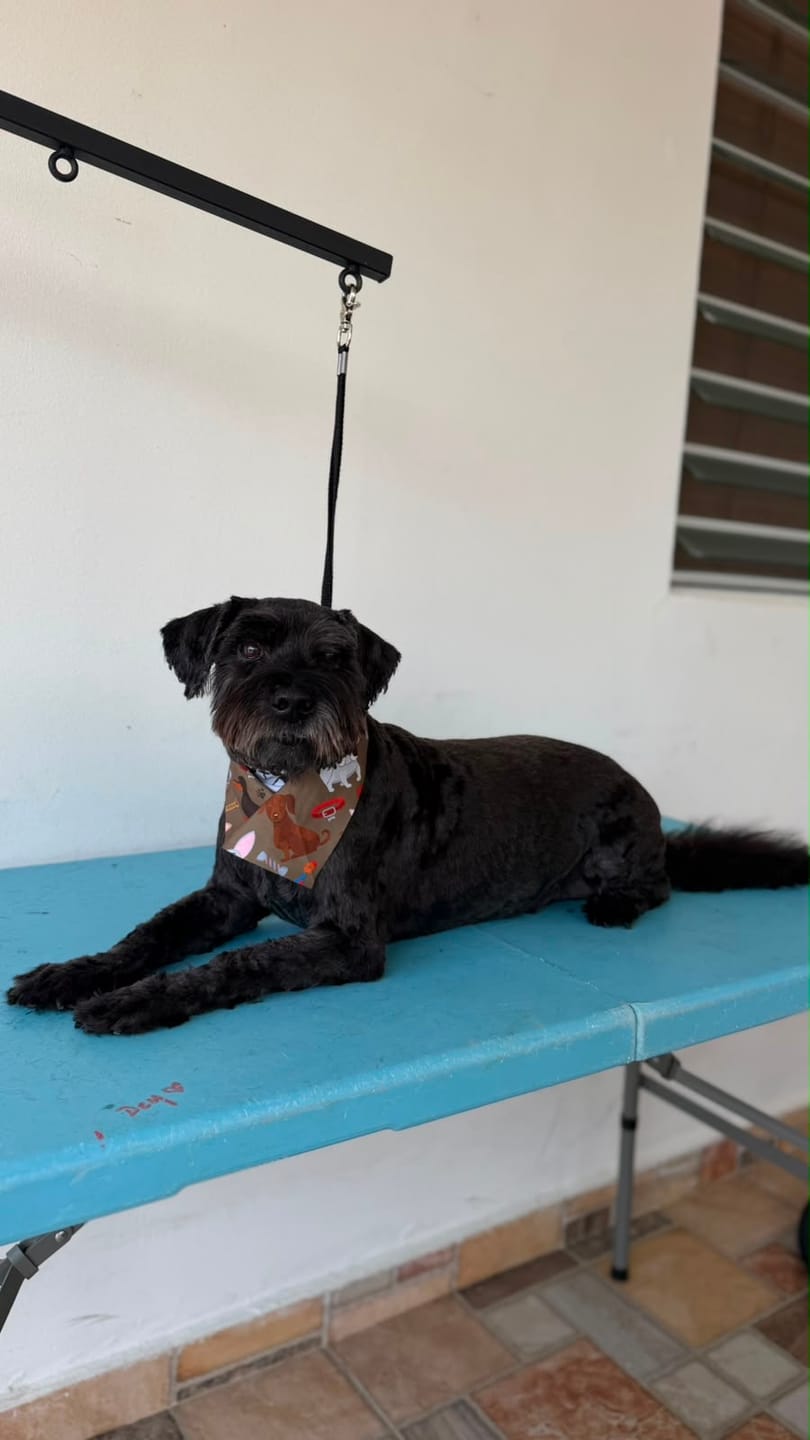 Customer photo review of Iron Paws Daily Human-Grade Superfood For Dogs