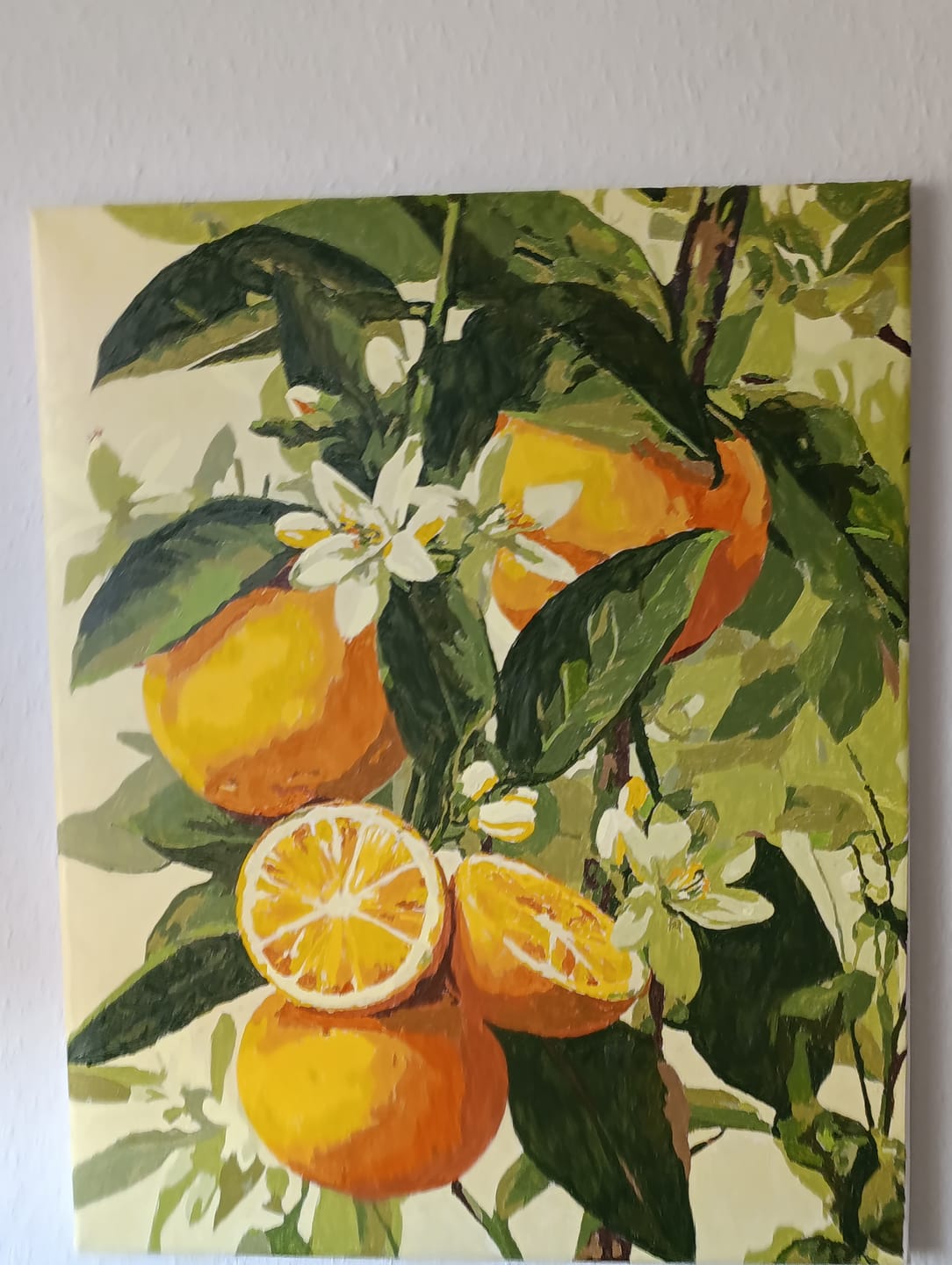 Customer photo review of Malen nach Zahlen - Blühende Zitrusfrüchte