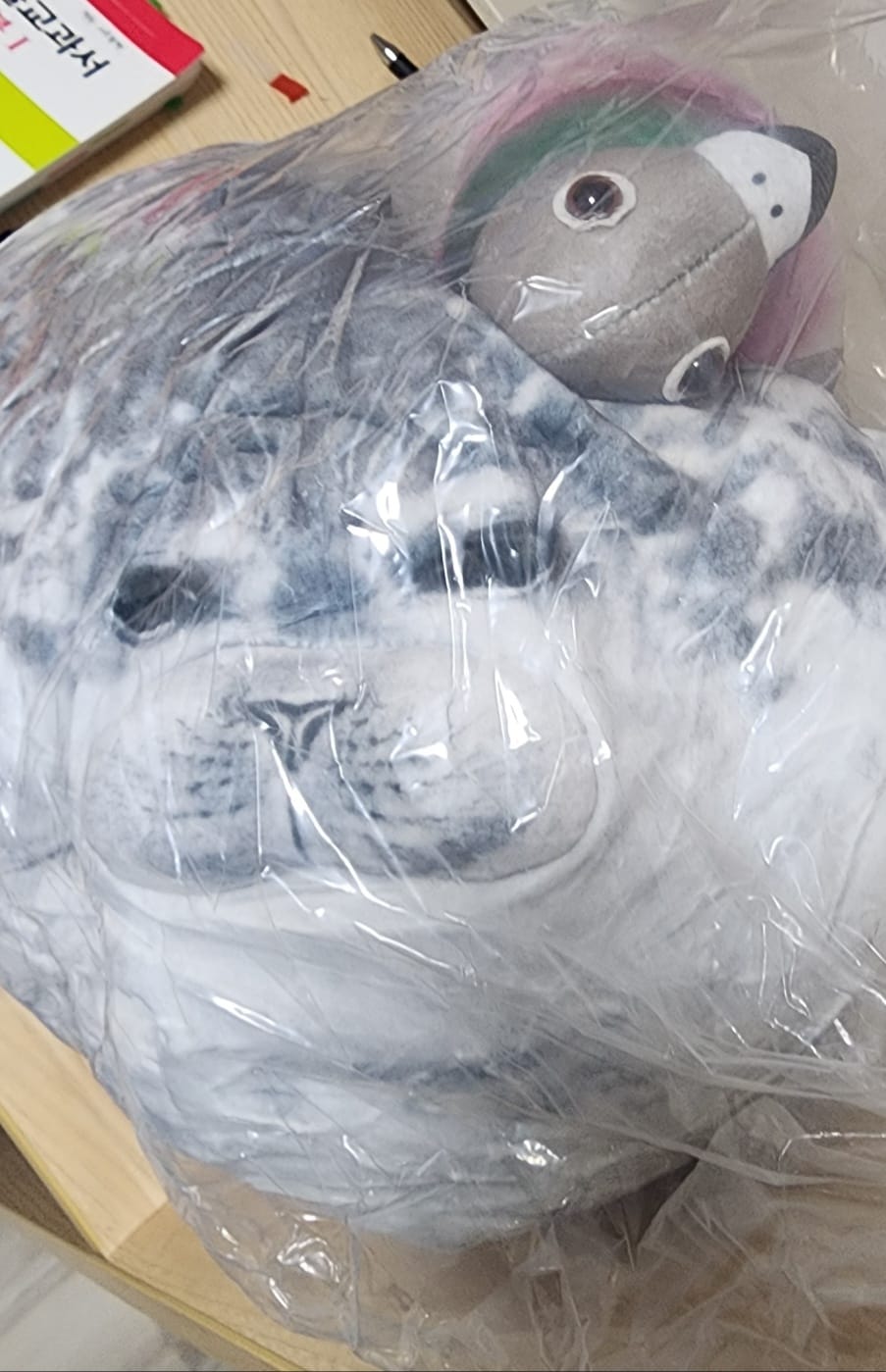 Customer photo review of Gray Seal Soft Stuffed Plush Throw Pillow Cushion Toy