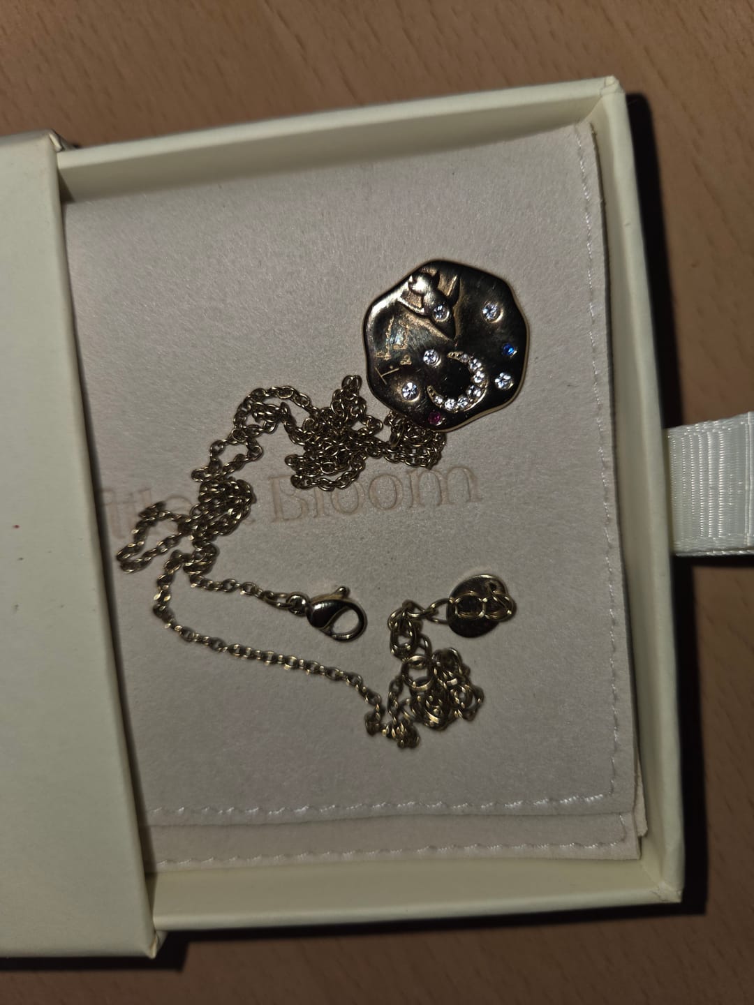 Customer photo review of To The Moon & Back Necklace