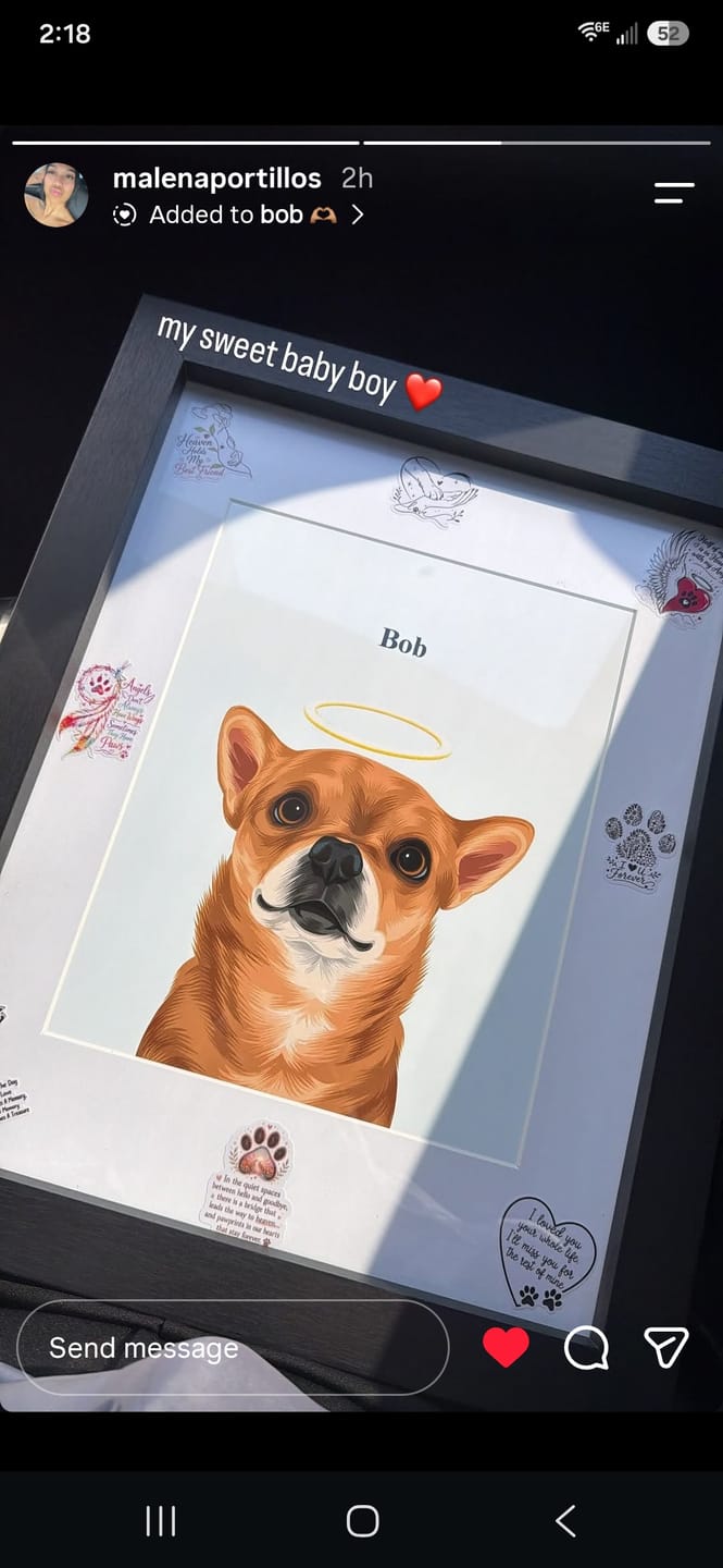 Customer photo review of Custom One Pet Portrait - Digital Only