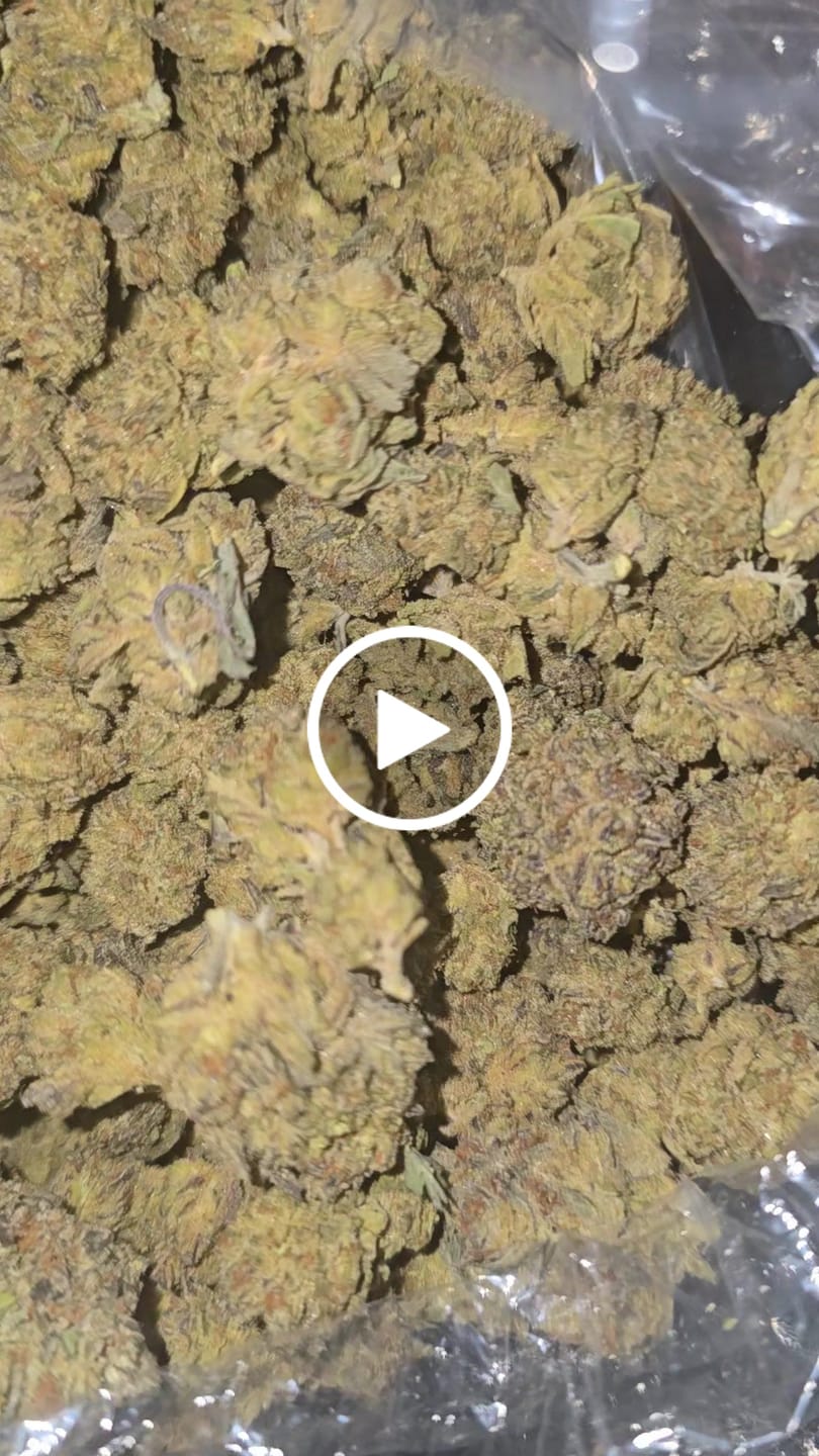 Customer video review of Black Cherry Cookies - Bulk - Hybrid