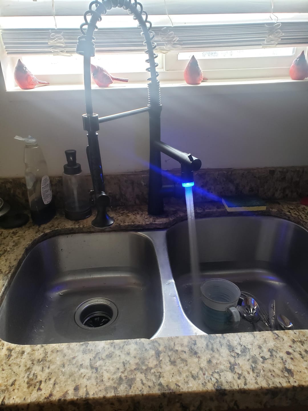 Customer photo review of Skagerrak - Commercial-Style Pull-Down Kitchen Sink Faucet with LED Cone-Shaped Sprayer