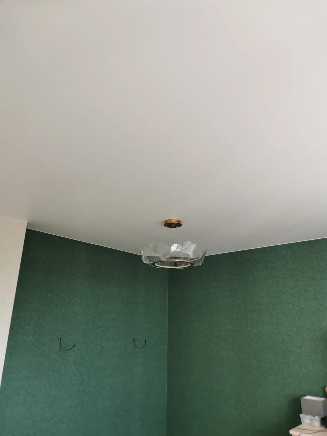 Customer photo review of Gold Chandelier, Iron Frame, Transparent Acrylic Shades