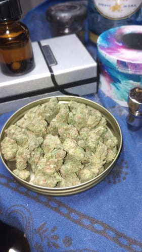Customer's KIND Green Crack minis in a round open tin, showing small, light green buds.
