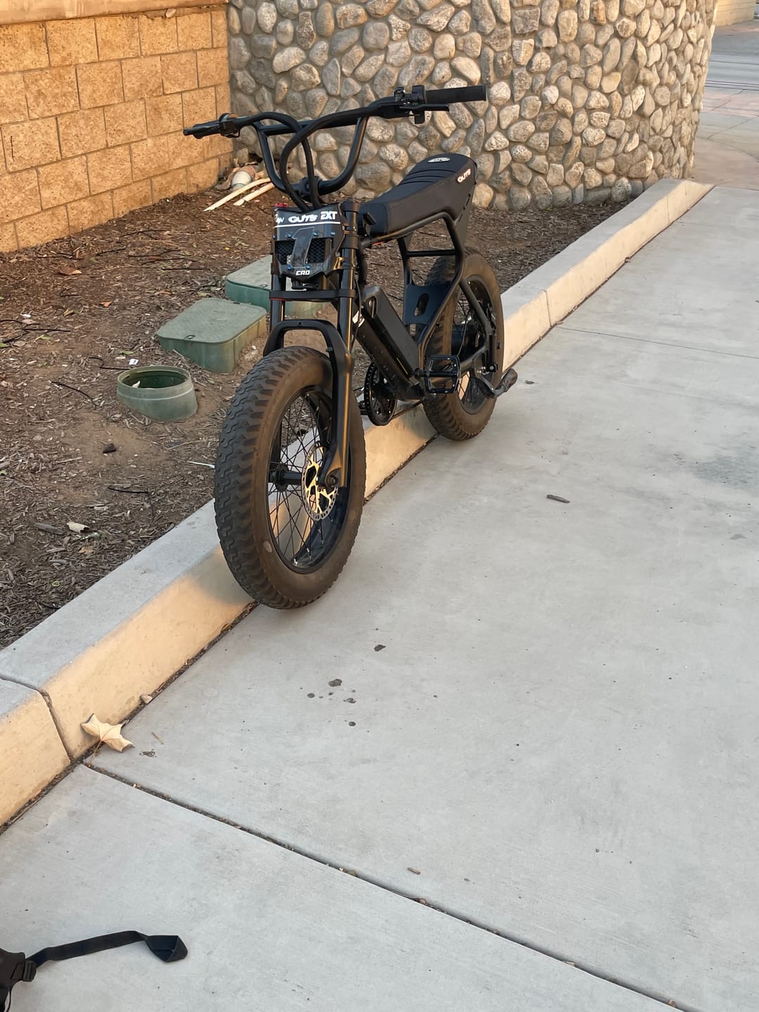 Customer photo review of Macfox X1S Commuter E-bike