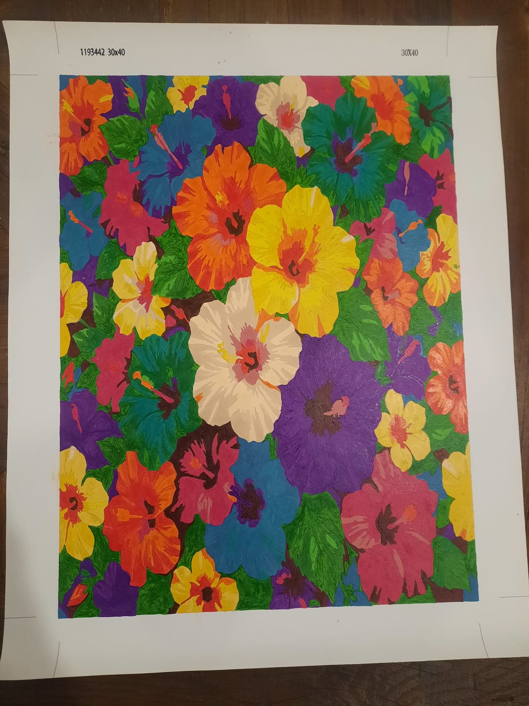 Customer photo review of Hibiscus Bloom Collage (Paint by Numbers)