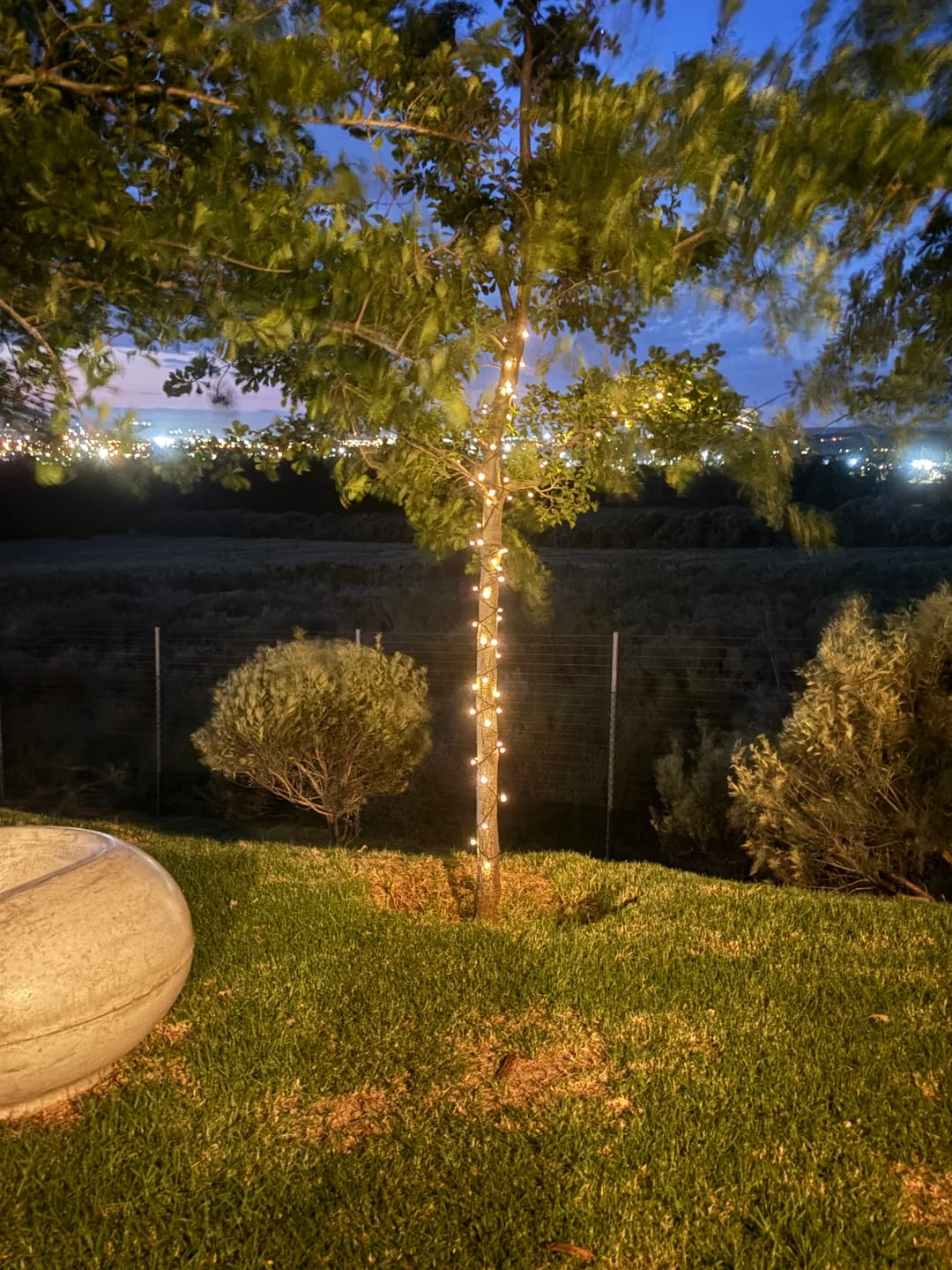 Customer photo review of Black String Solar Fairy Lights