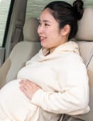 Customer photo review of Car Companion Pillow