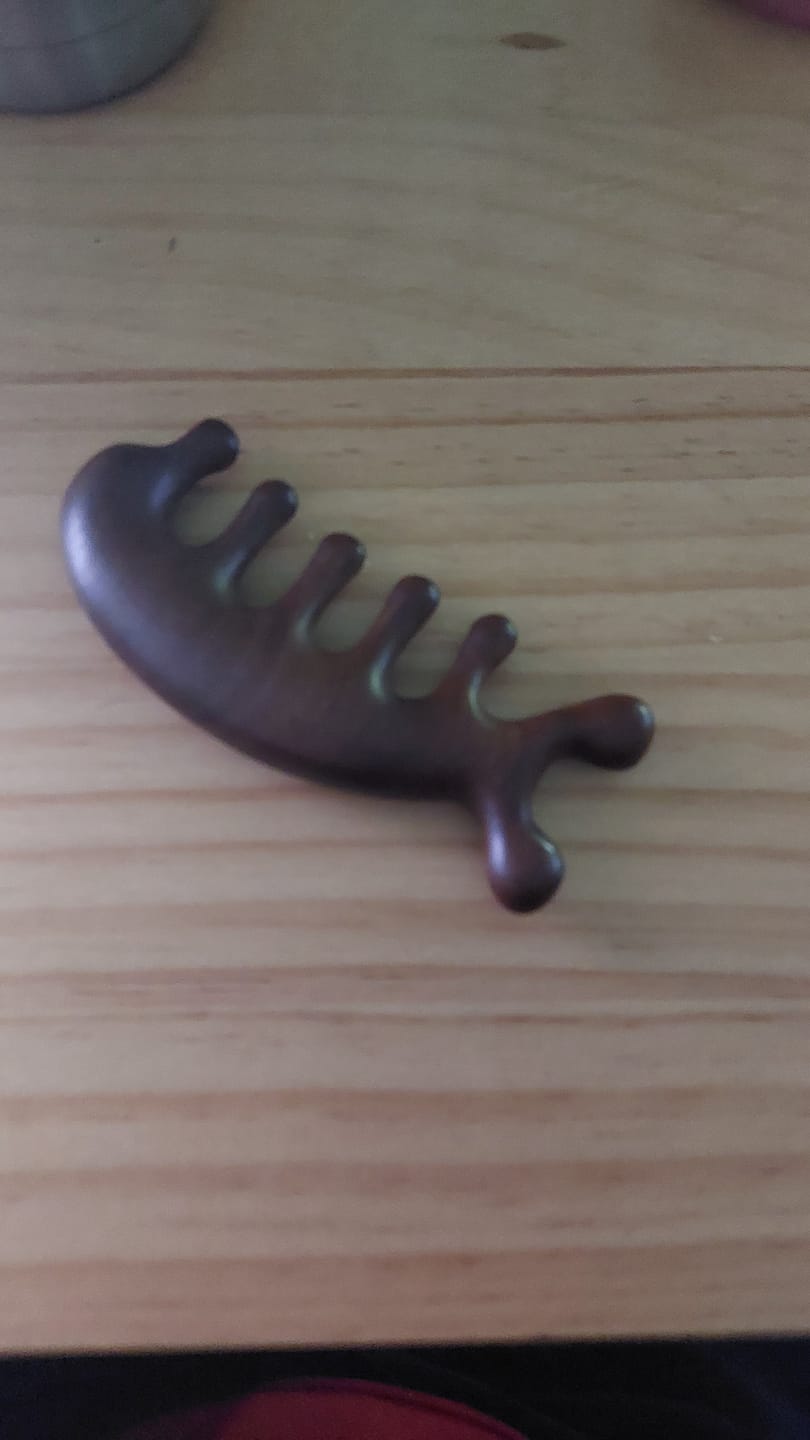 Customer photo review of Meridian Dolphin Comb