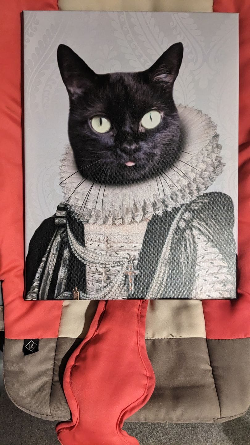 Customer photo review of Portrait Chien Amiral