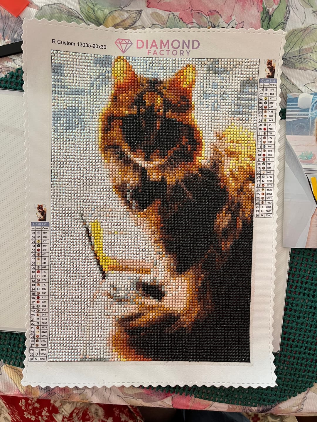 Customer photo review of Custom Diamond Painting Kit