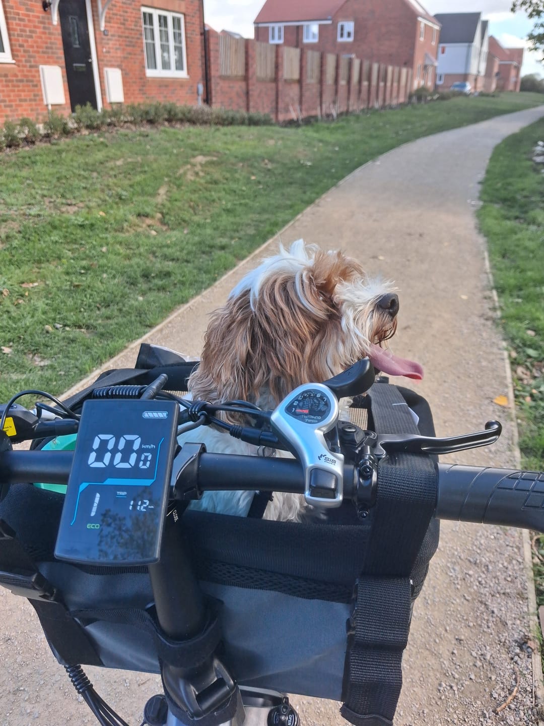 Customer photo review of V3 2.0 Folding Fat Tires Adult All Terrain Electric Bike