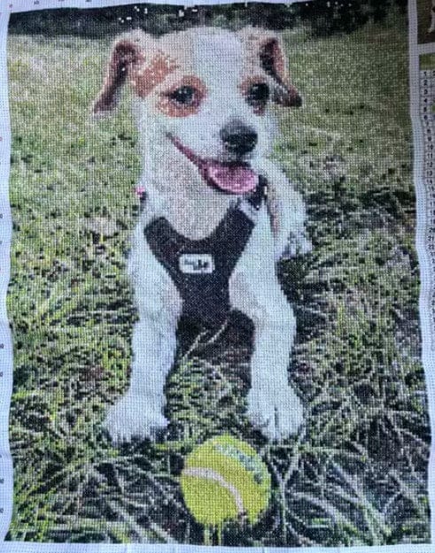 Customer photo review of Custom Cross Stitch Kit- Turn Your Photo Into Handmade Art