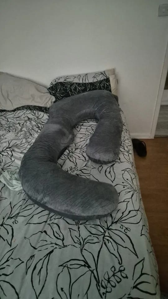 Customer photo review of Car Companion Pillow
