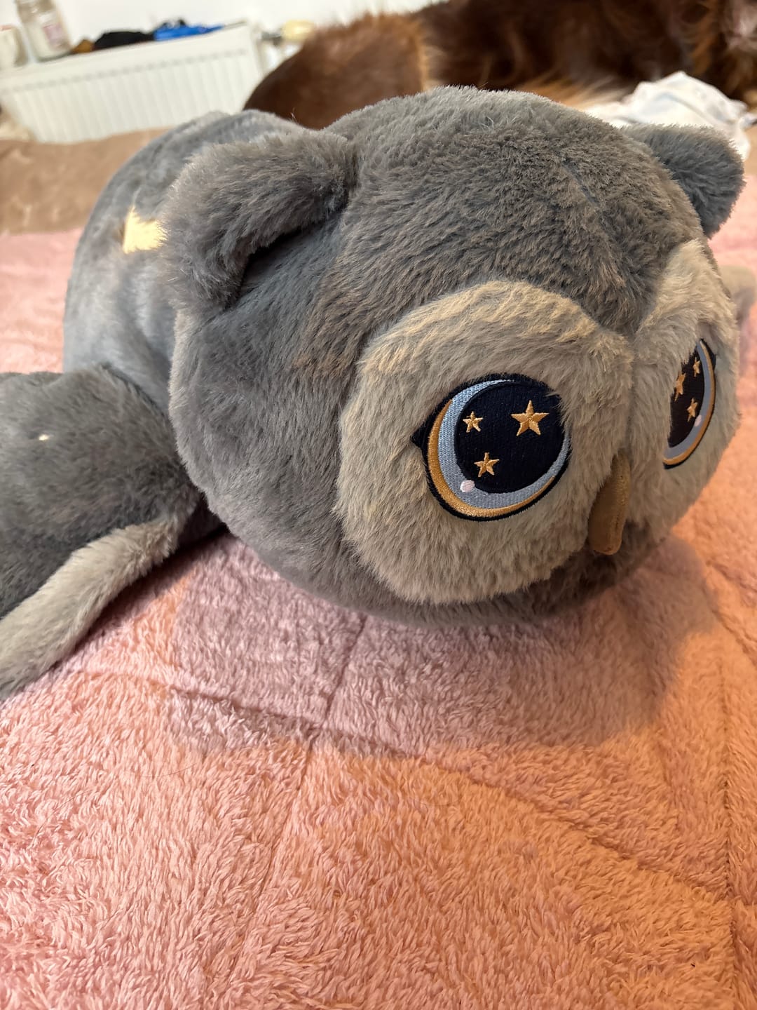 Customer photo review of MeWaii® Owl Weighted Stuffed Animal