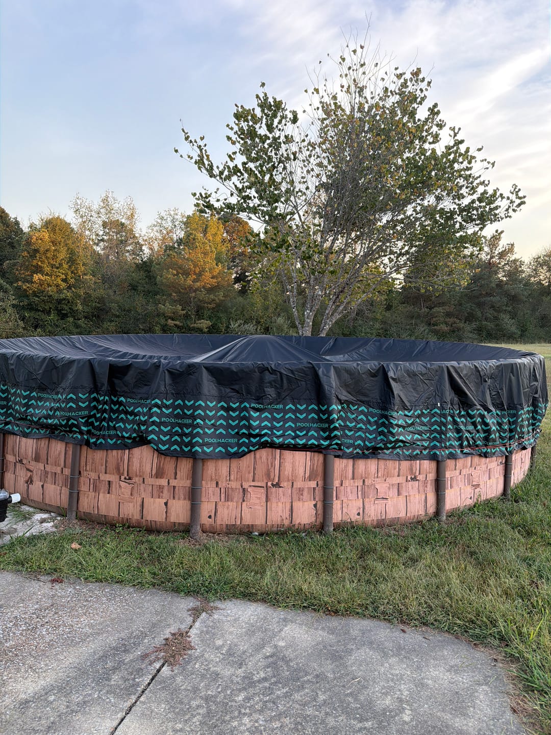 Customer photo review of Pool Pillow