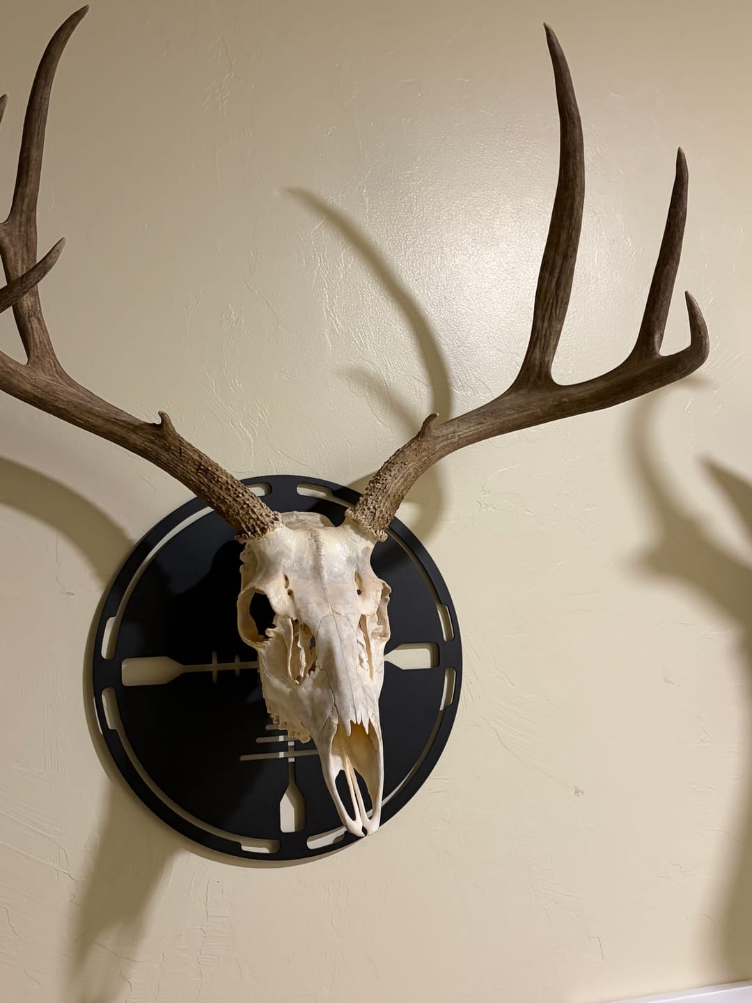 Customer photo review of Medium Game Plaques