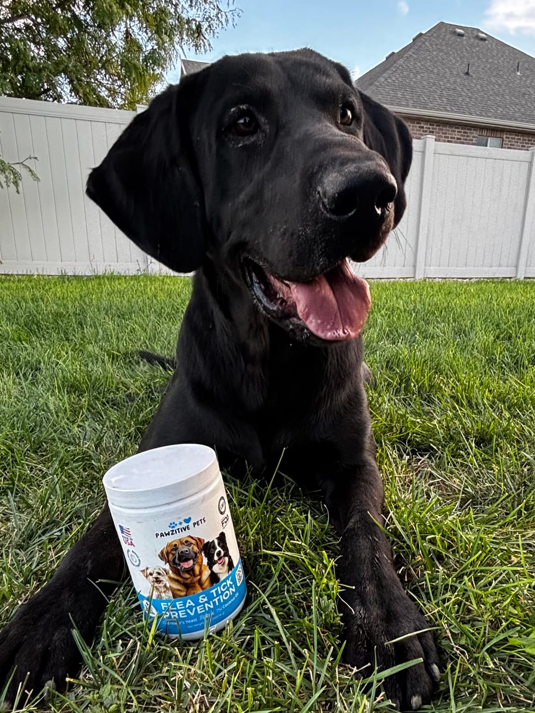 Customer photo review of Dog Flea and Tick Prevention for Outdoor & Seasonal Protection – Skin & Coat Support, 120 Soft Chews (Beef Flavor)