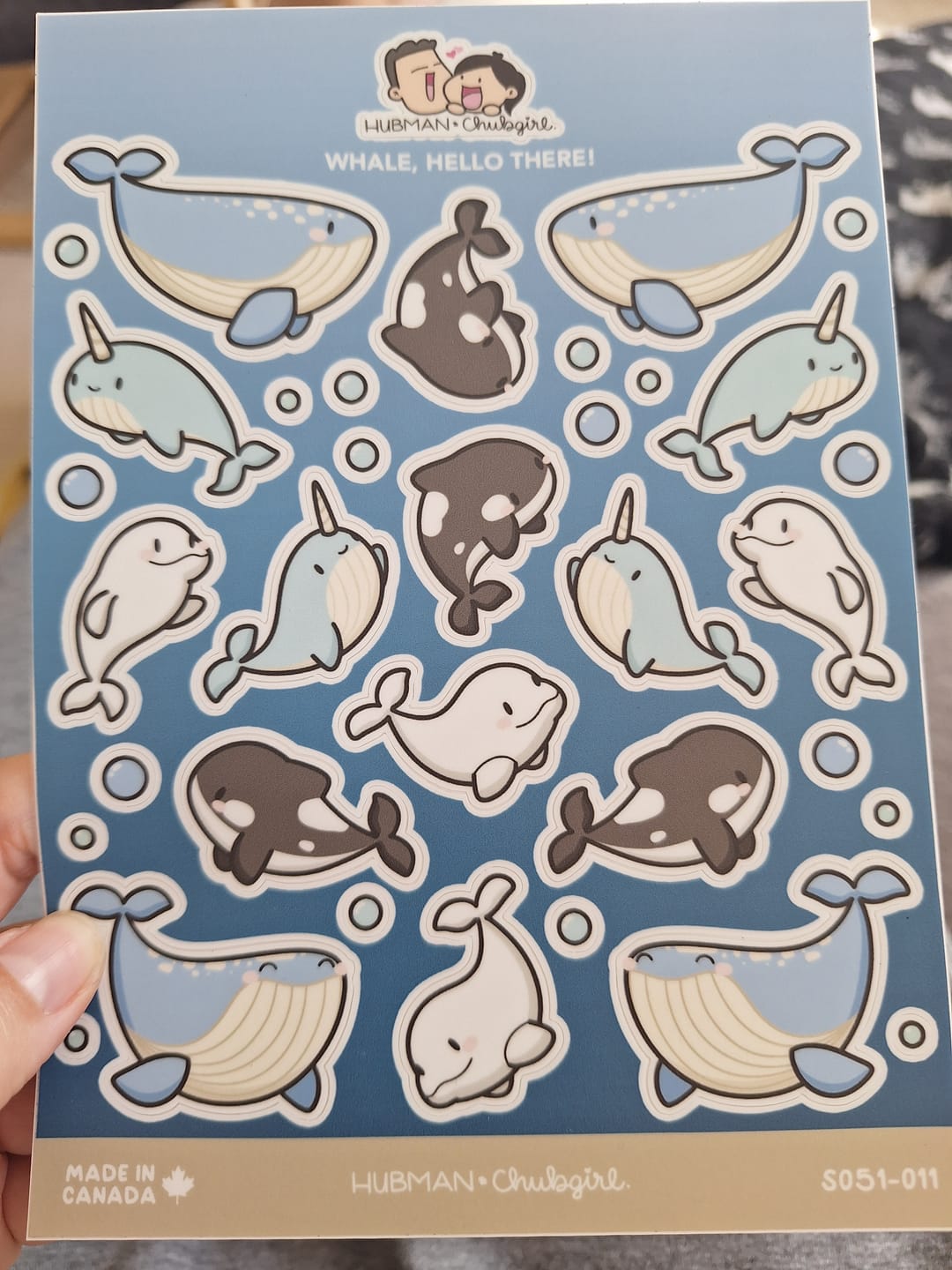 Customer photo review of Whale, Hello There! Sticker Sheet