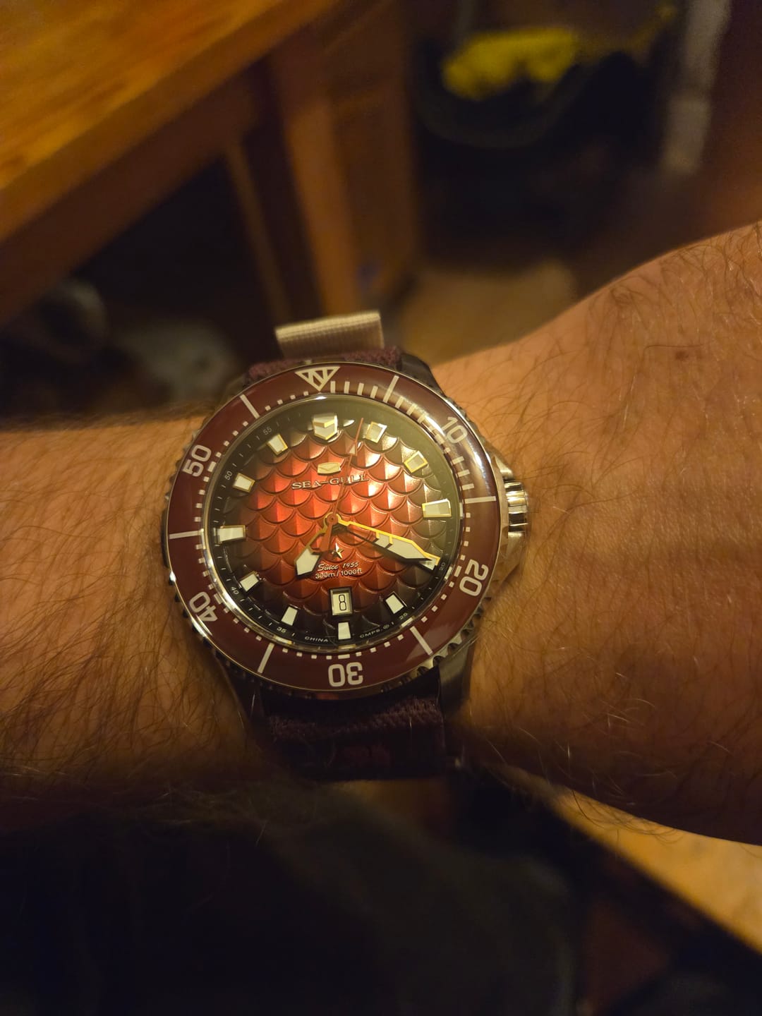 Customer photo review of Ocean Series Pro "Dragon Kings of the Four Seas" Dragon-scale Dial 300m Waterproof Diving Watch 44mm