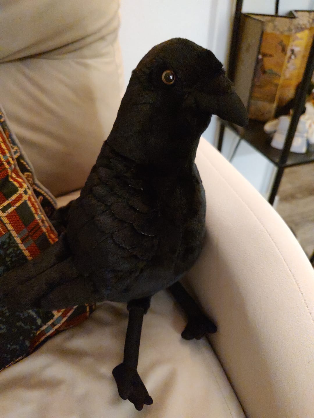 Customer photo review of American Crow Bird Soft Stuffed Plush Toy
