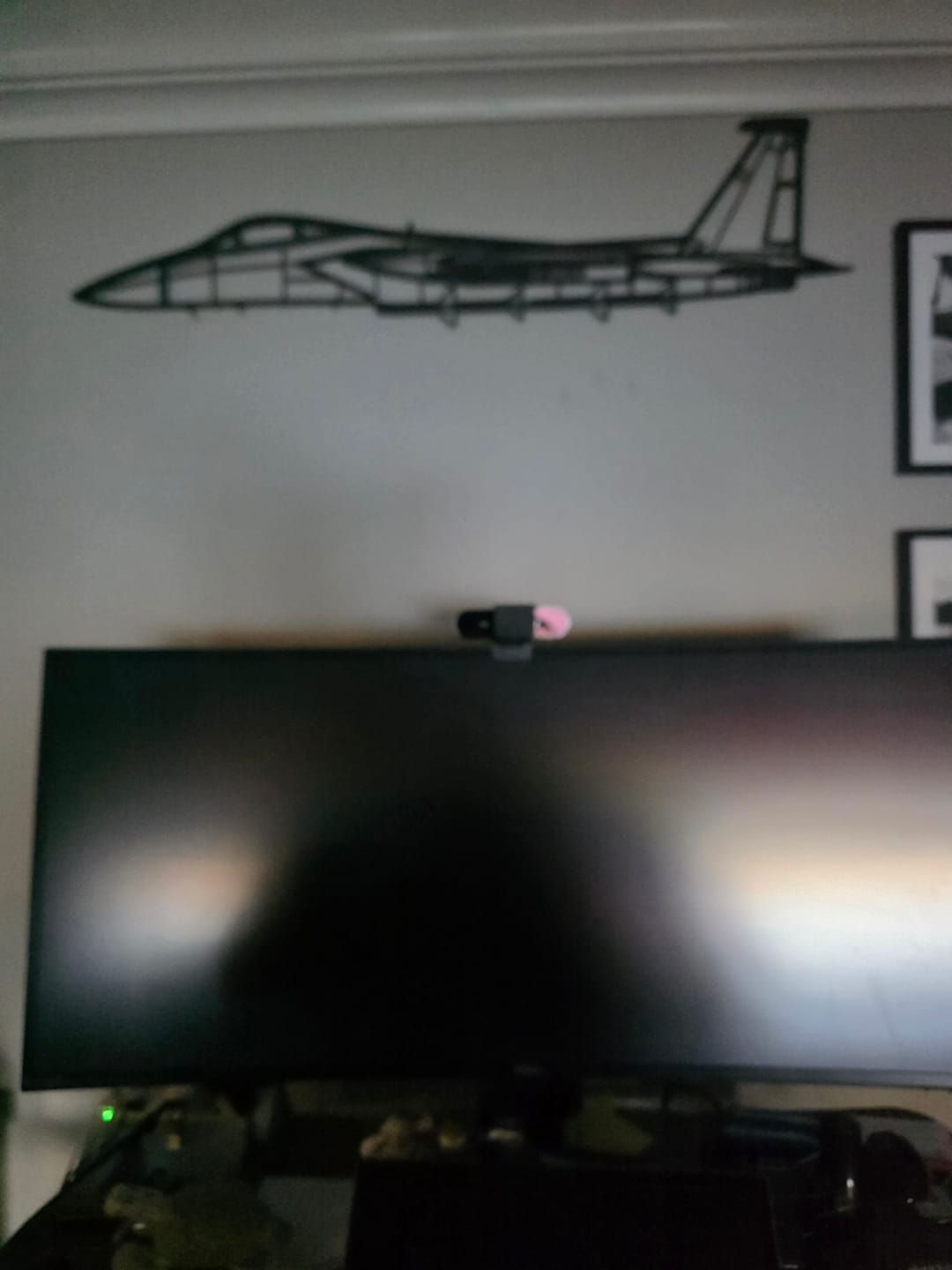Customer photo review of F-15A Eagle Silhouette Metal Wall Art