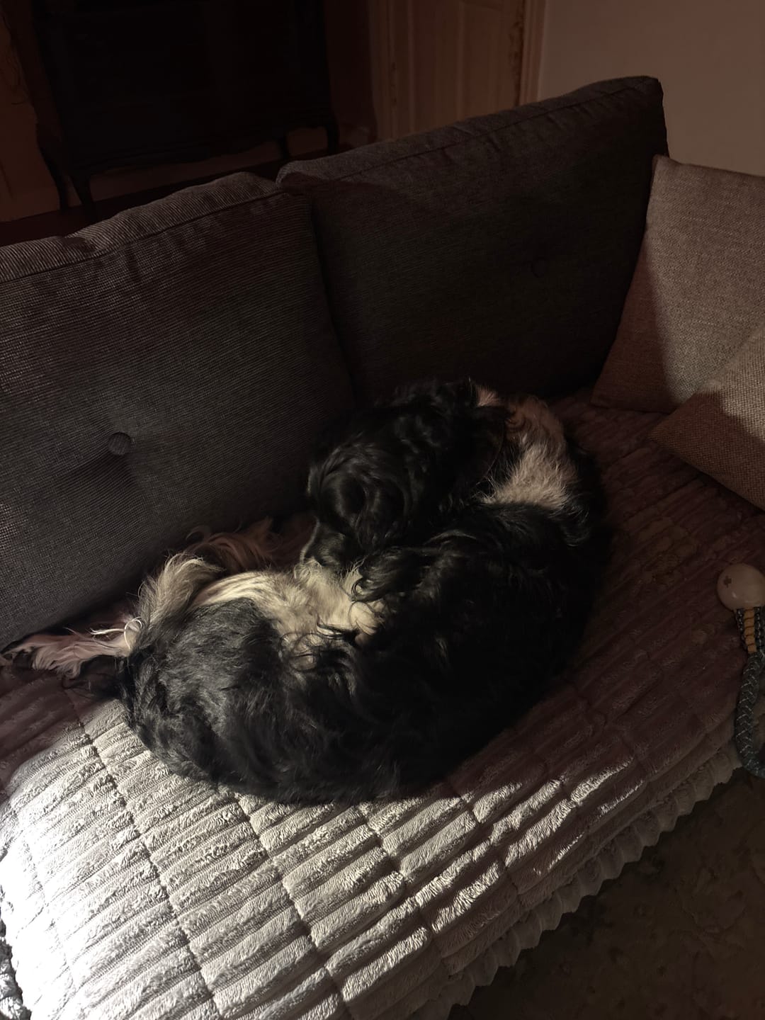 Customer photo review of Koselig Sofatrekk – Hundens favorittplass