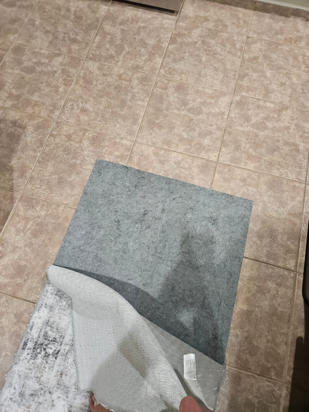 Customer photo review of 1/4" Non Slip Rug Pad Gripper