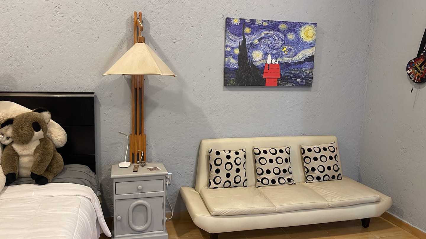 Customer photo review of Noche Estrellada Snoopy & Emilio