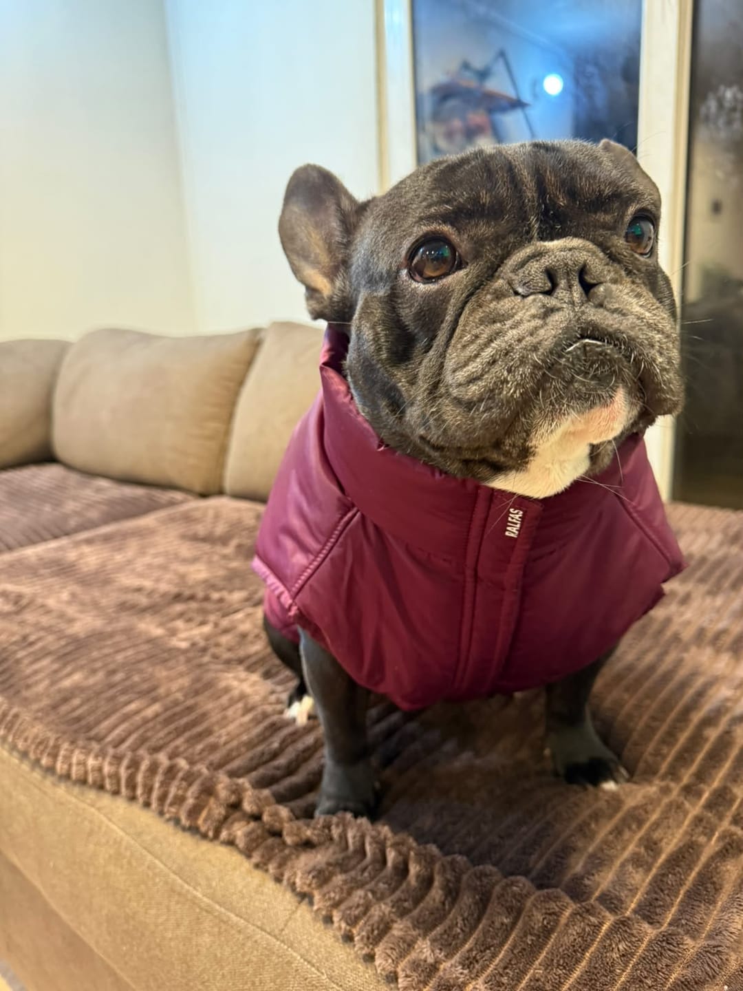 Customer photo review of Chaqueta Puffer Burdeo