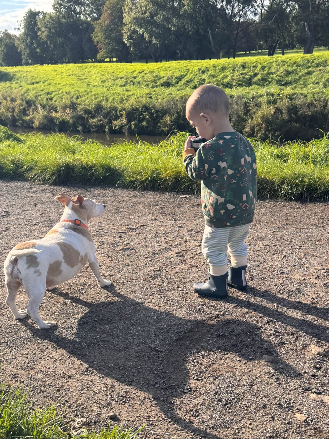 Customer photo review of Woodland World Raglan Sweatshirt