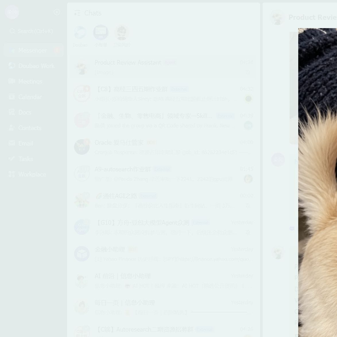Customer photo review of Halo Safety Ring for Blind Pets