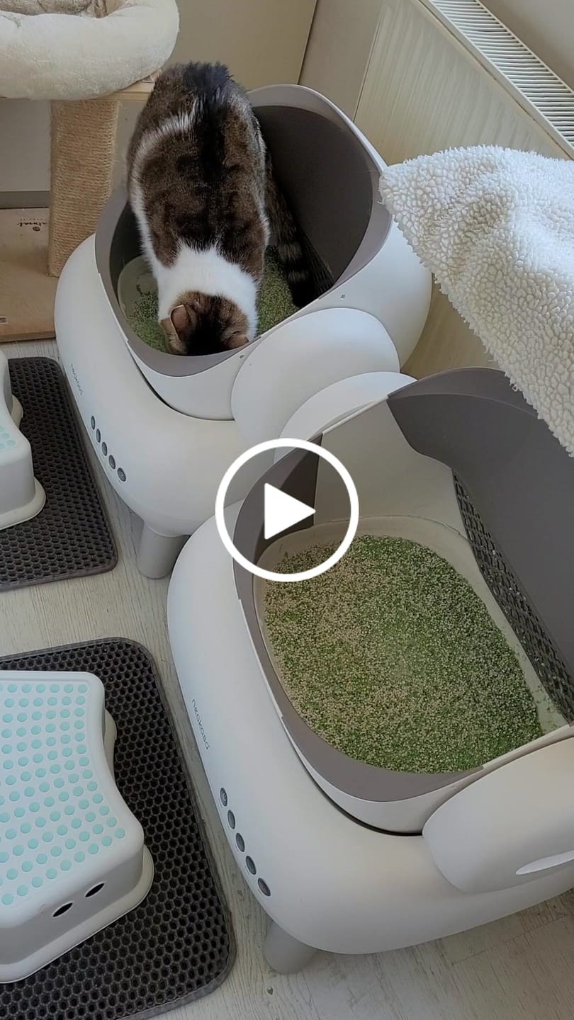 Customer video review of Neakasa M1 Lite Plus Open-Top Self-Cleaning Cat Litter Box