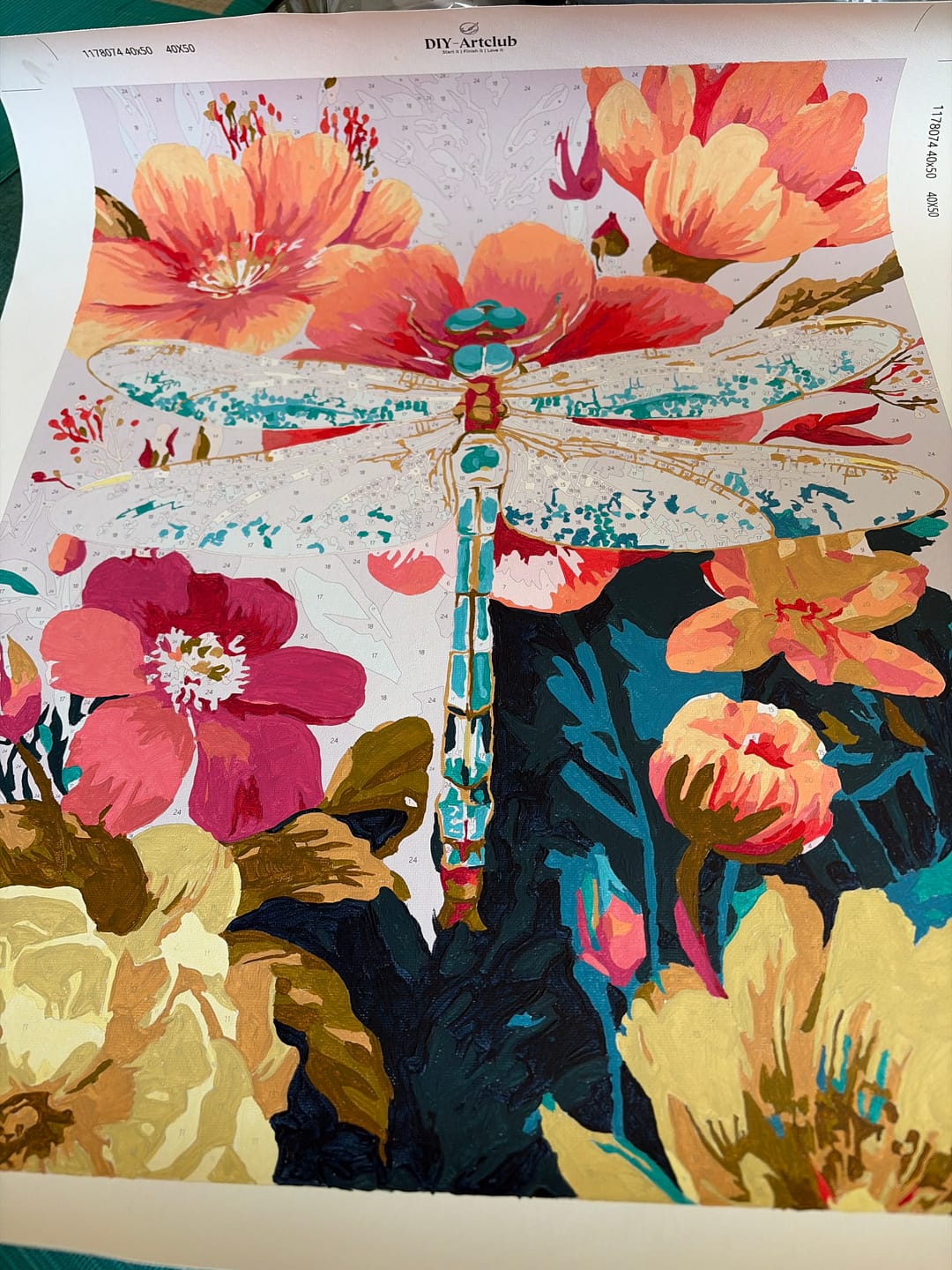 Customer photo review of Precious Dragonfly | Paint by Number