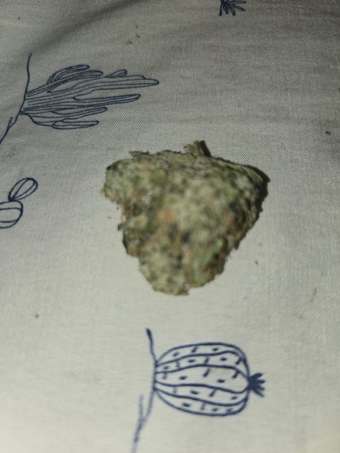 Customer photo review of Larry OG THCA Flower (Exotic)