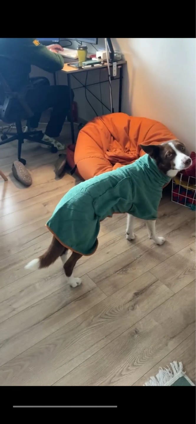 Customer photo review of Trocken Mantel Kuschelig trocken nach jedem Abenteuer