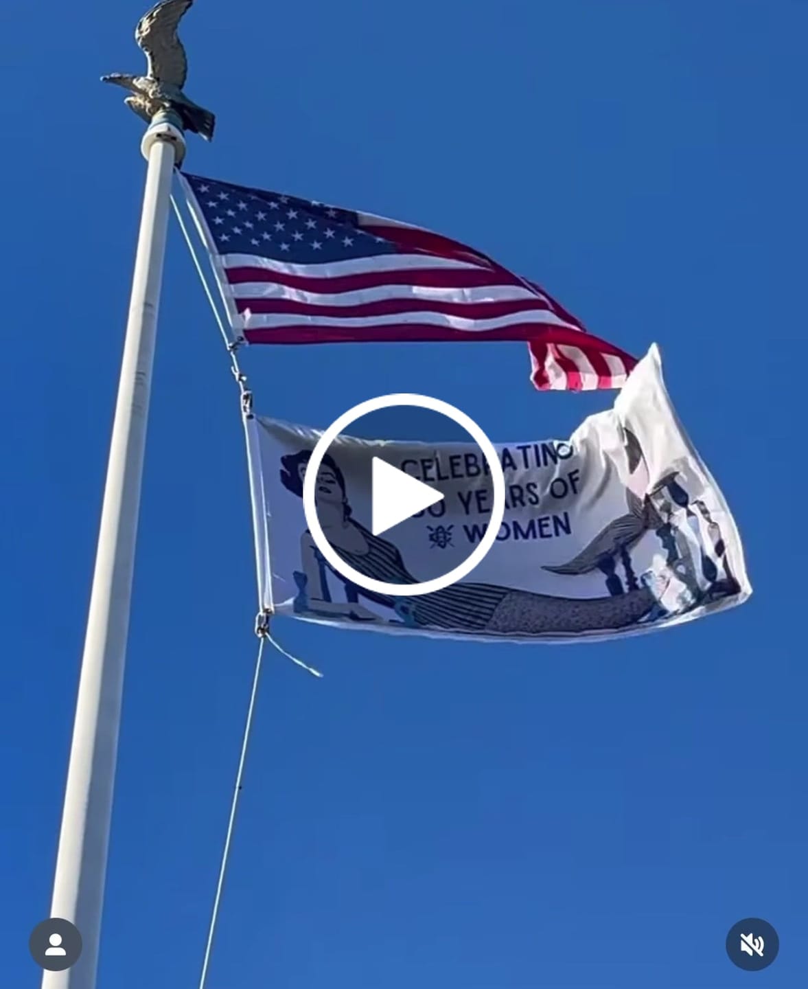 Customer video review of Rectangular Flag