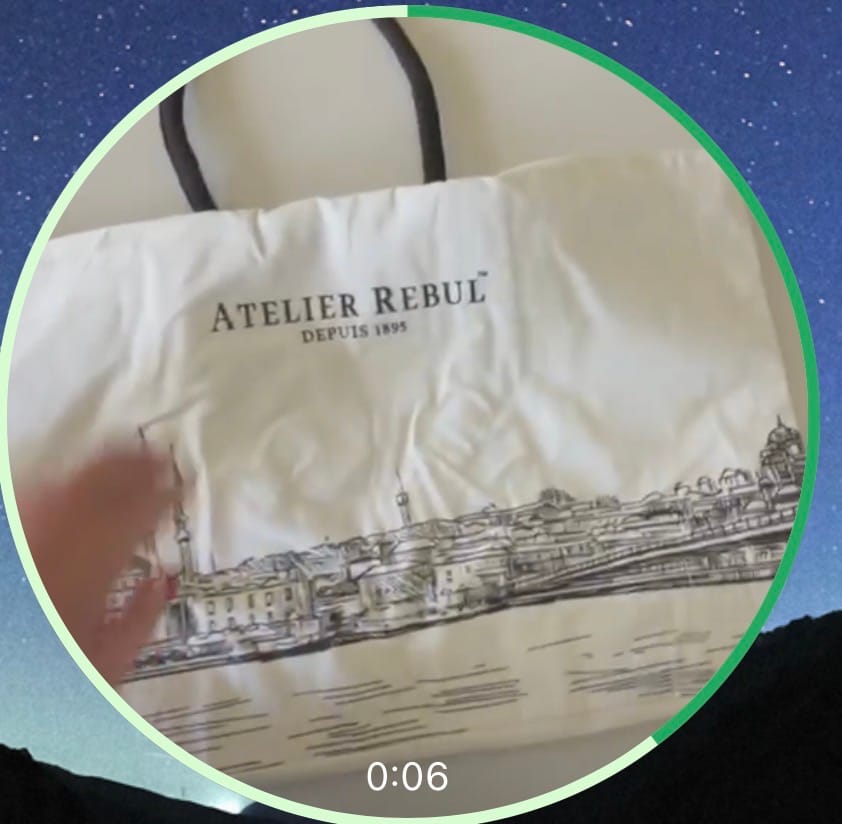 Customer photo review of Luxe Summer Bag