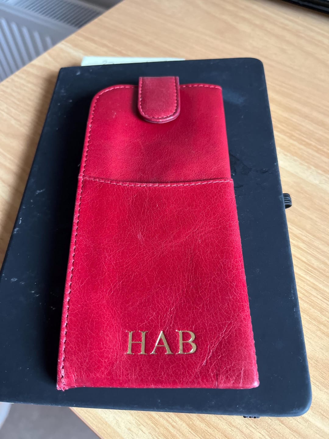 Customer photo review of Soft Leather Glasses Case
