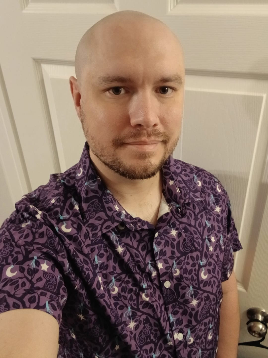 Customer photo review of Forest Cats Lilac Button Up Shirt