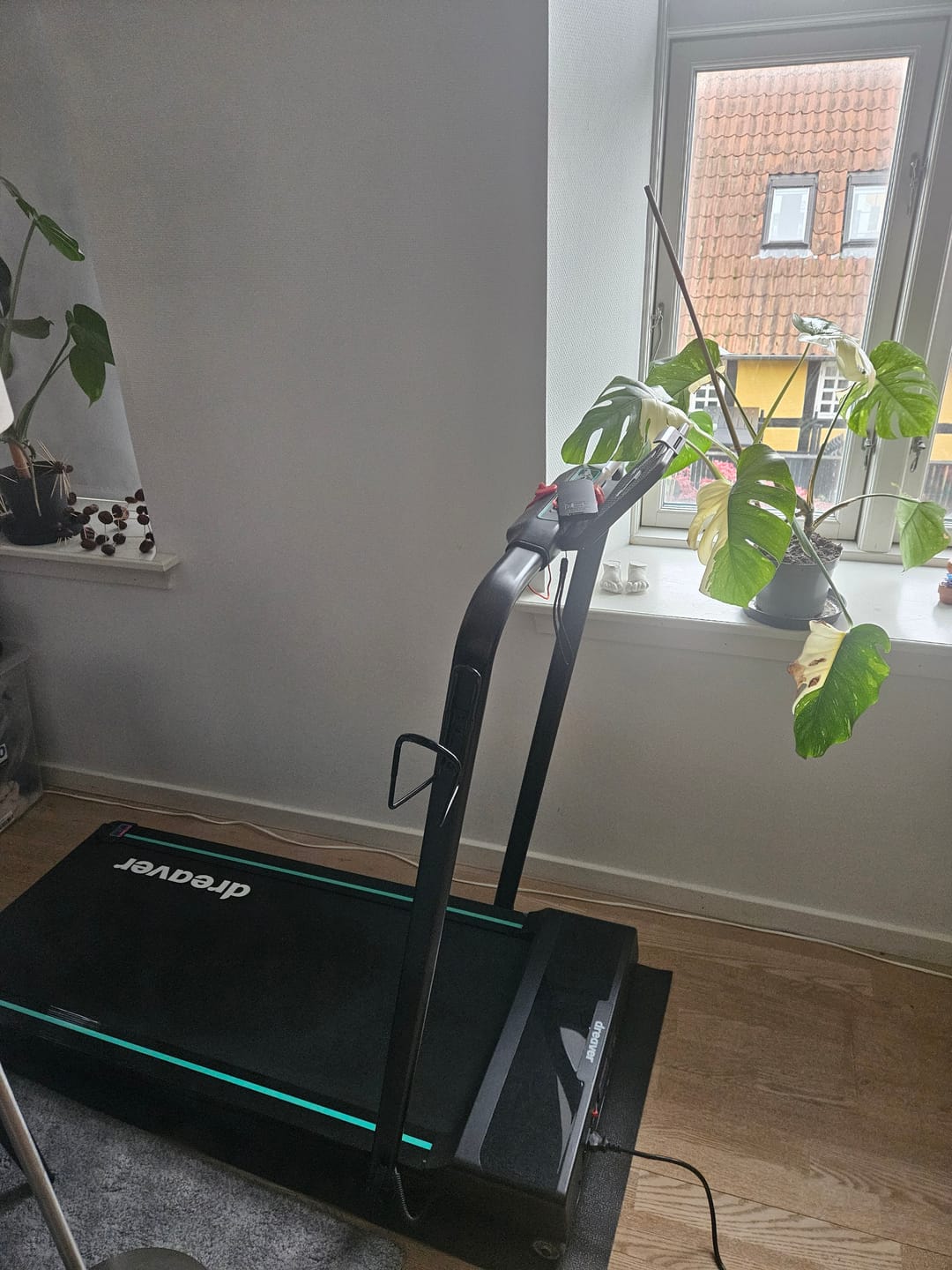 Customer photo review of Dreaver Elevate Pro