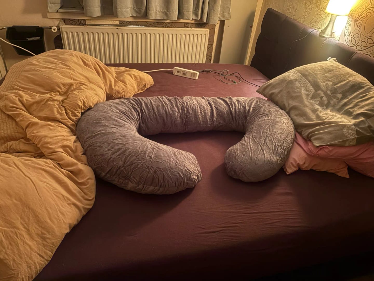 Customer photo review of Car Companion Pillow
